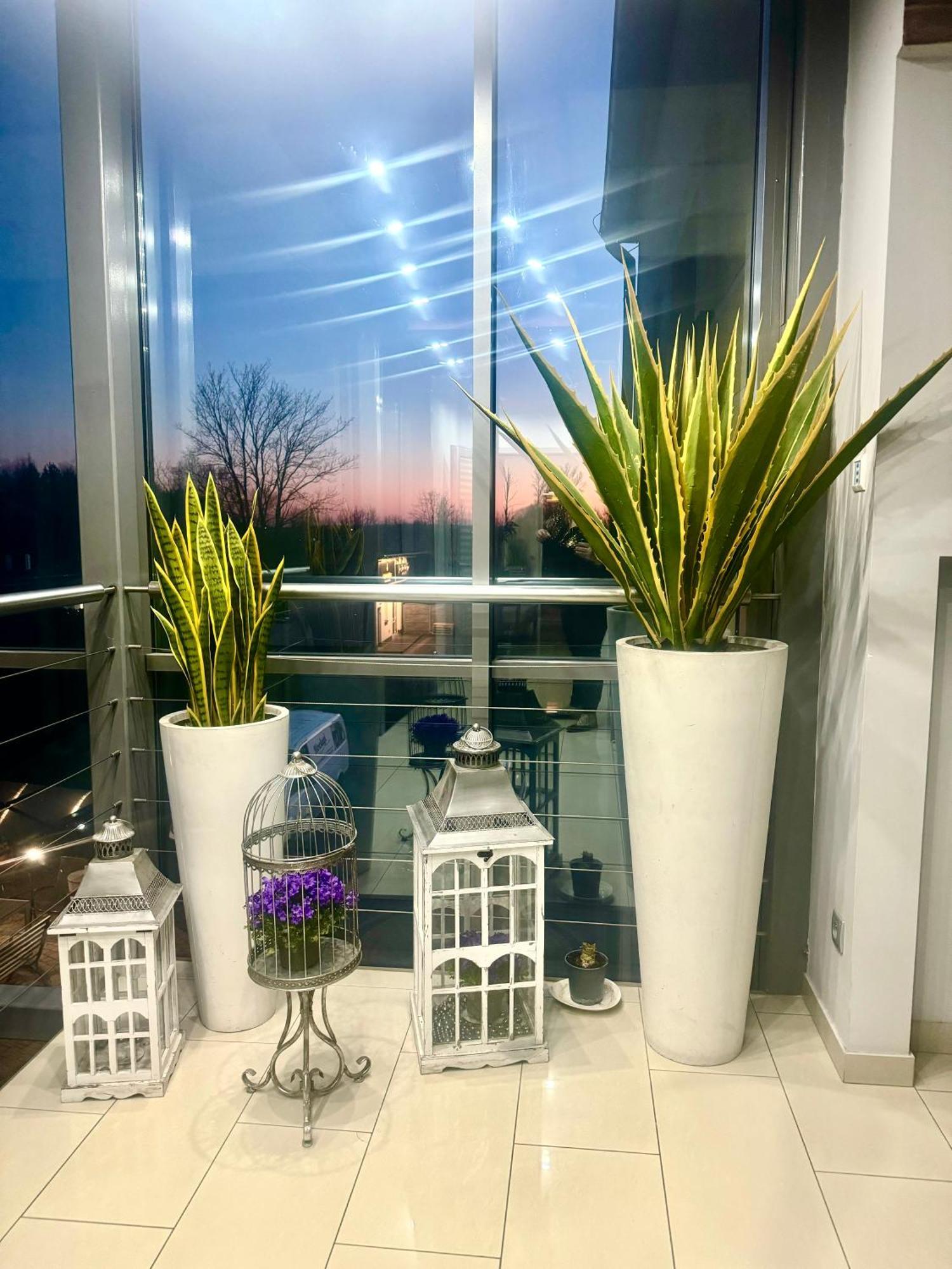 Apartamenty I Pokoje „Pod Jedynka” Konstantynów Łódzki エクステリア 写真