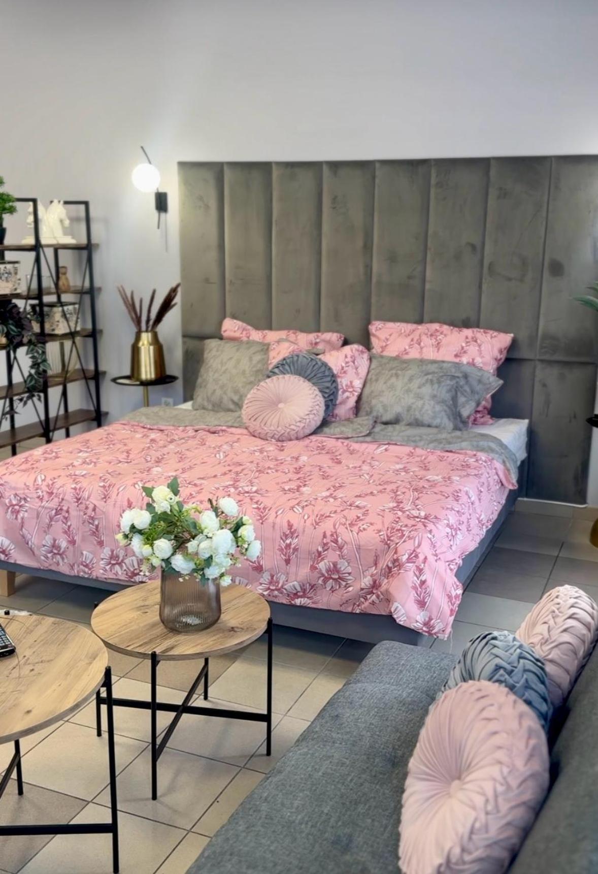 Apartamenty I Pokoje „Pod Jedynka” Konstantynów Łódzki エクステリア 写真